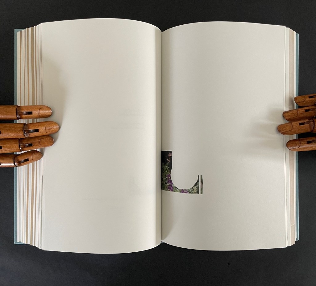 An open book with blank pages, held by wooden artist hands, featuring a cut-out corner showing a small image of greenery.
