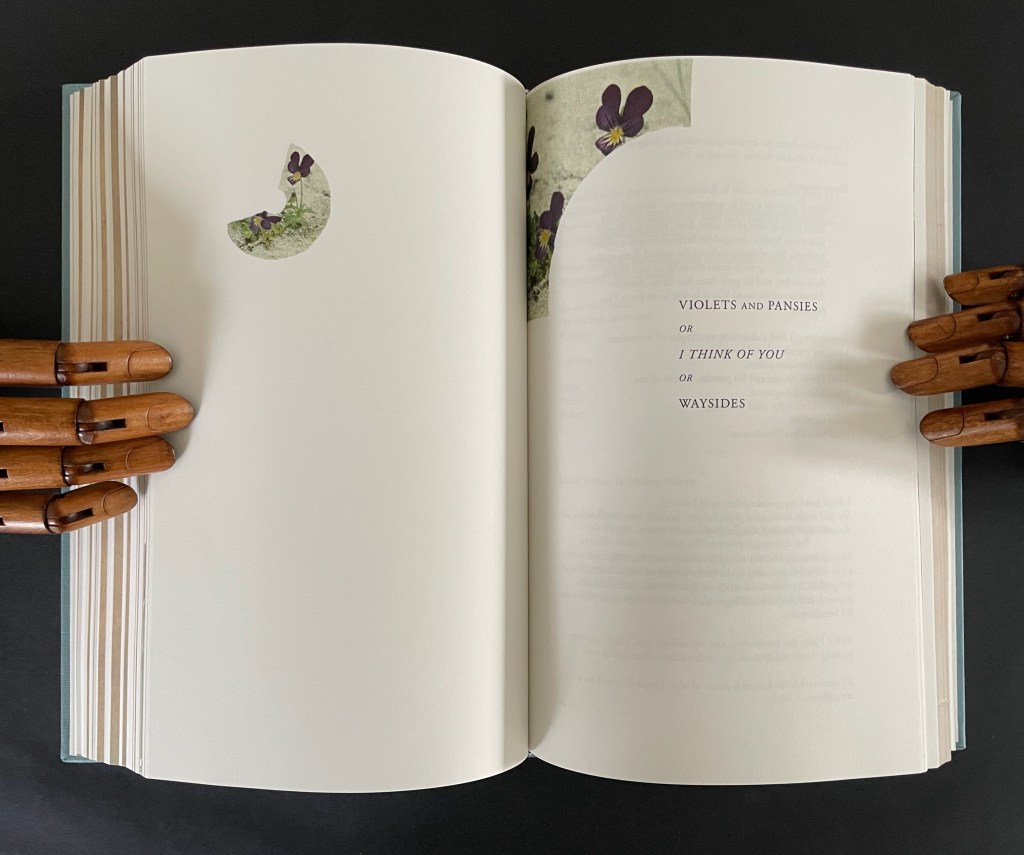 An open book with two wooden hands holding it, displaying decorative elements including a purple flower cutout and text that reads 'VIOLETS AND PANSIES OR I THINK OF YOU OR WAYSIDES'.