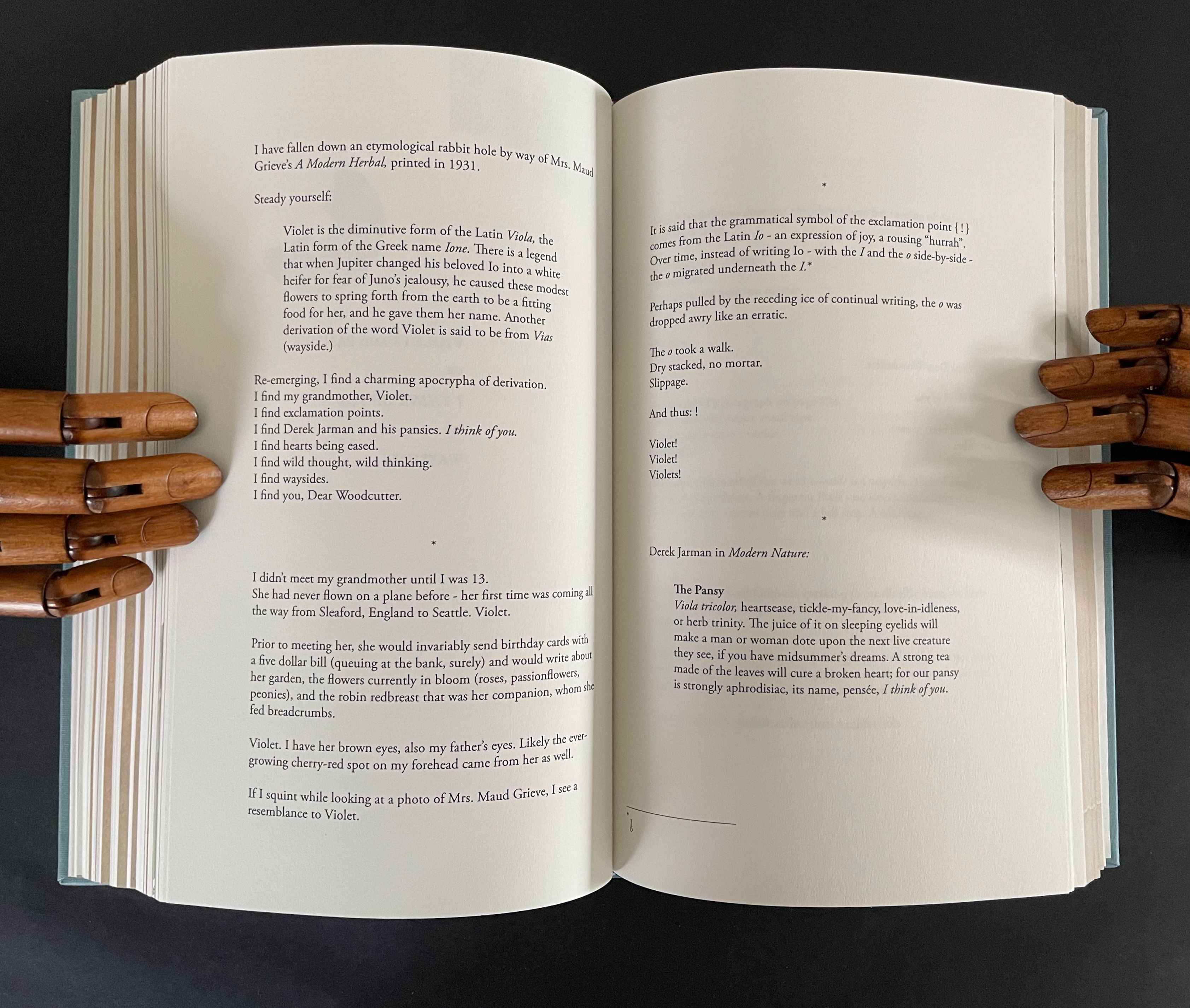 Open book page with text about the origin of the word 'Violet', featuring wooden mannequin hands holding the book.