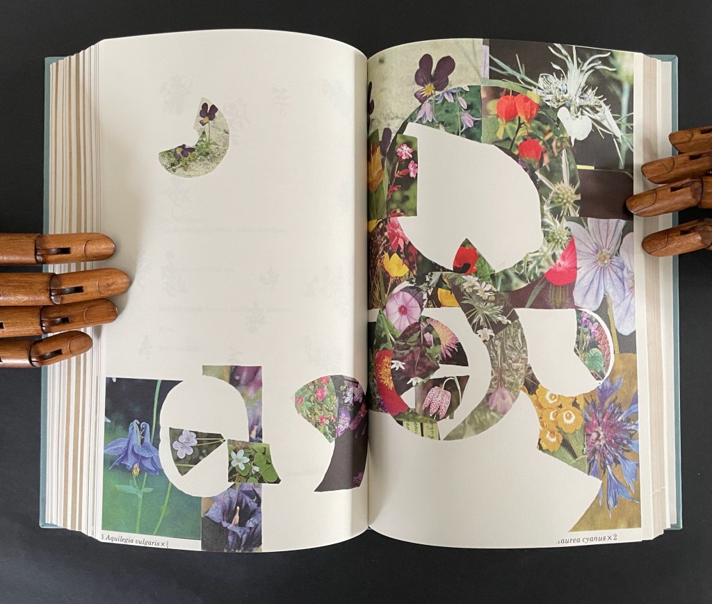 Open book pages featuring cut-out shapes of flowers and other floral images, with wooden hands holding the book.
