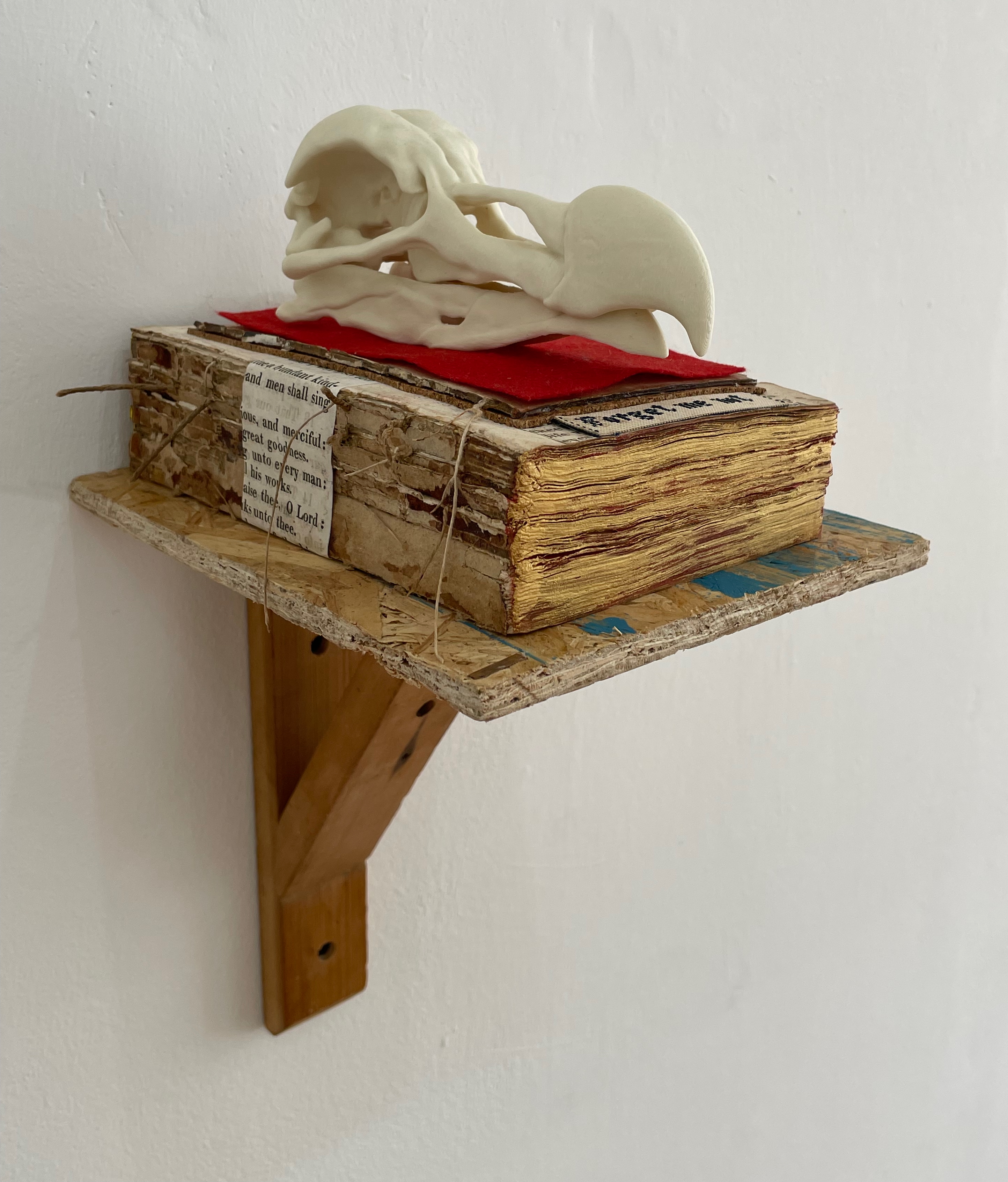A sculpture of a bird skull resting on stacked books with a red cloth on a wooden shelf against a white wall.