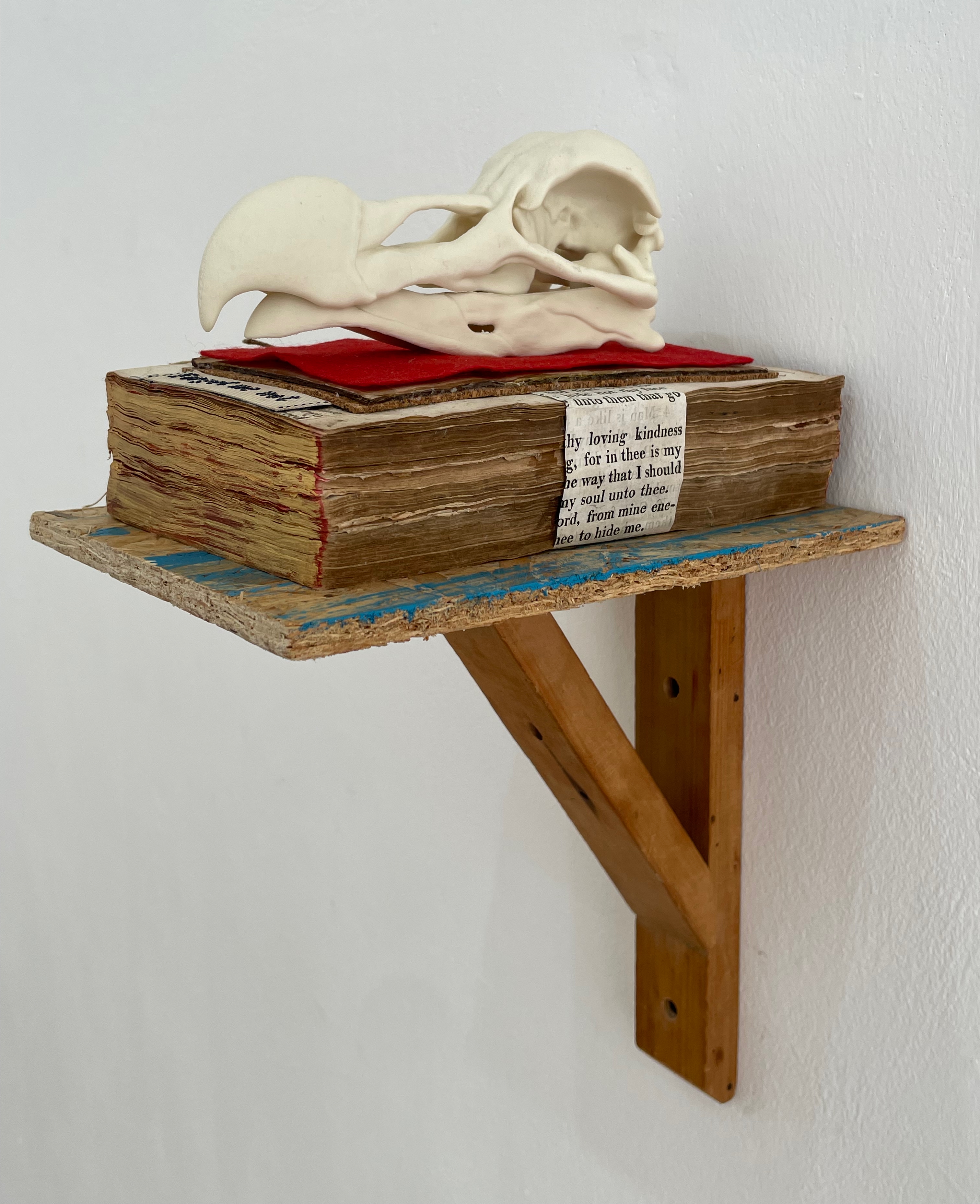 A white animal skull sculpture placed atop a stack of old books with a red cover, resting on a wooden shelf mounted on a wall.