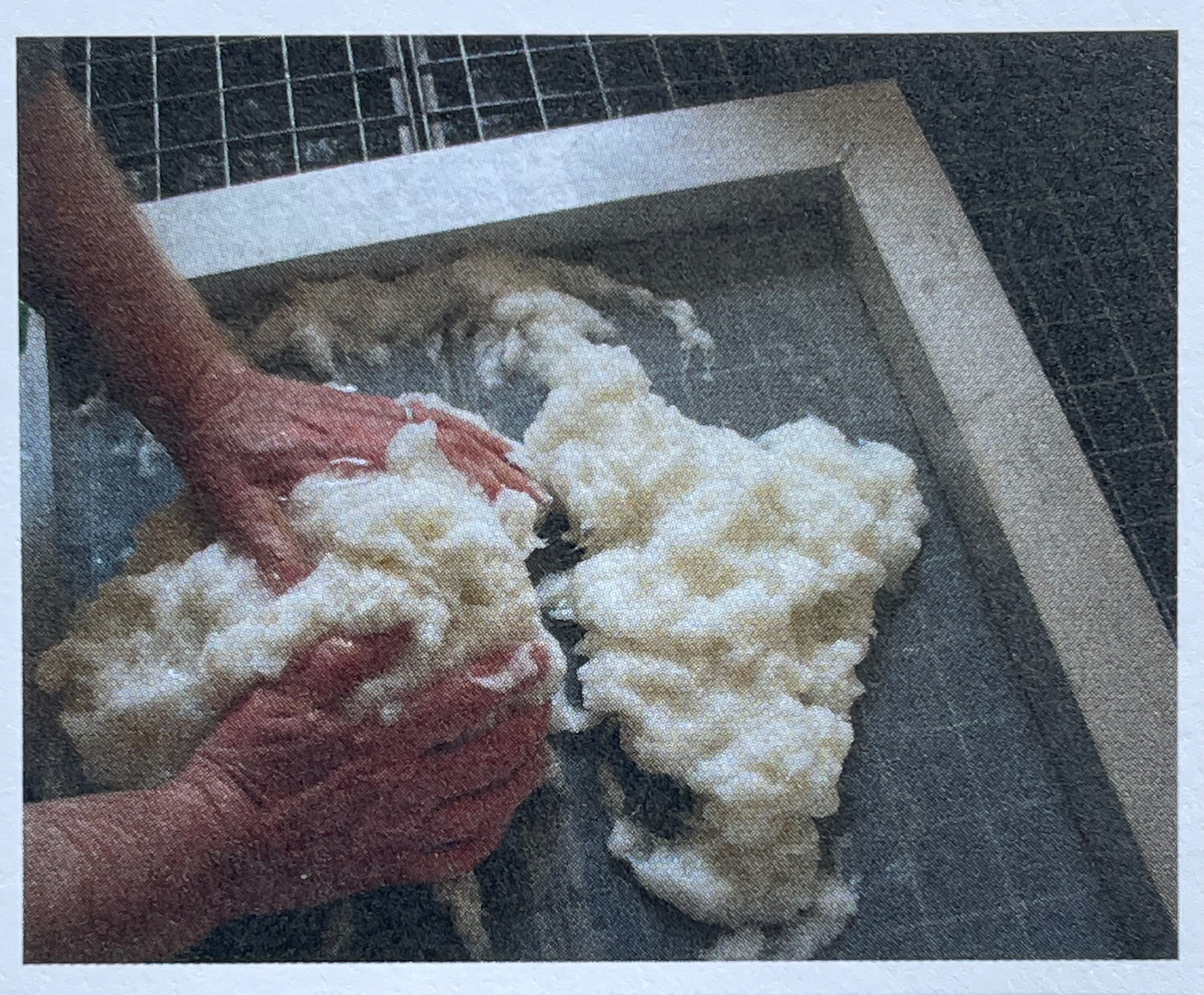 Hands mixing and kneading soft, fibrous material on a flat surface.