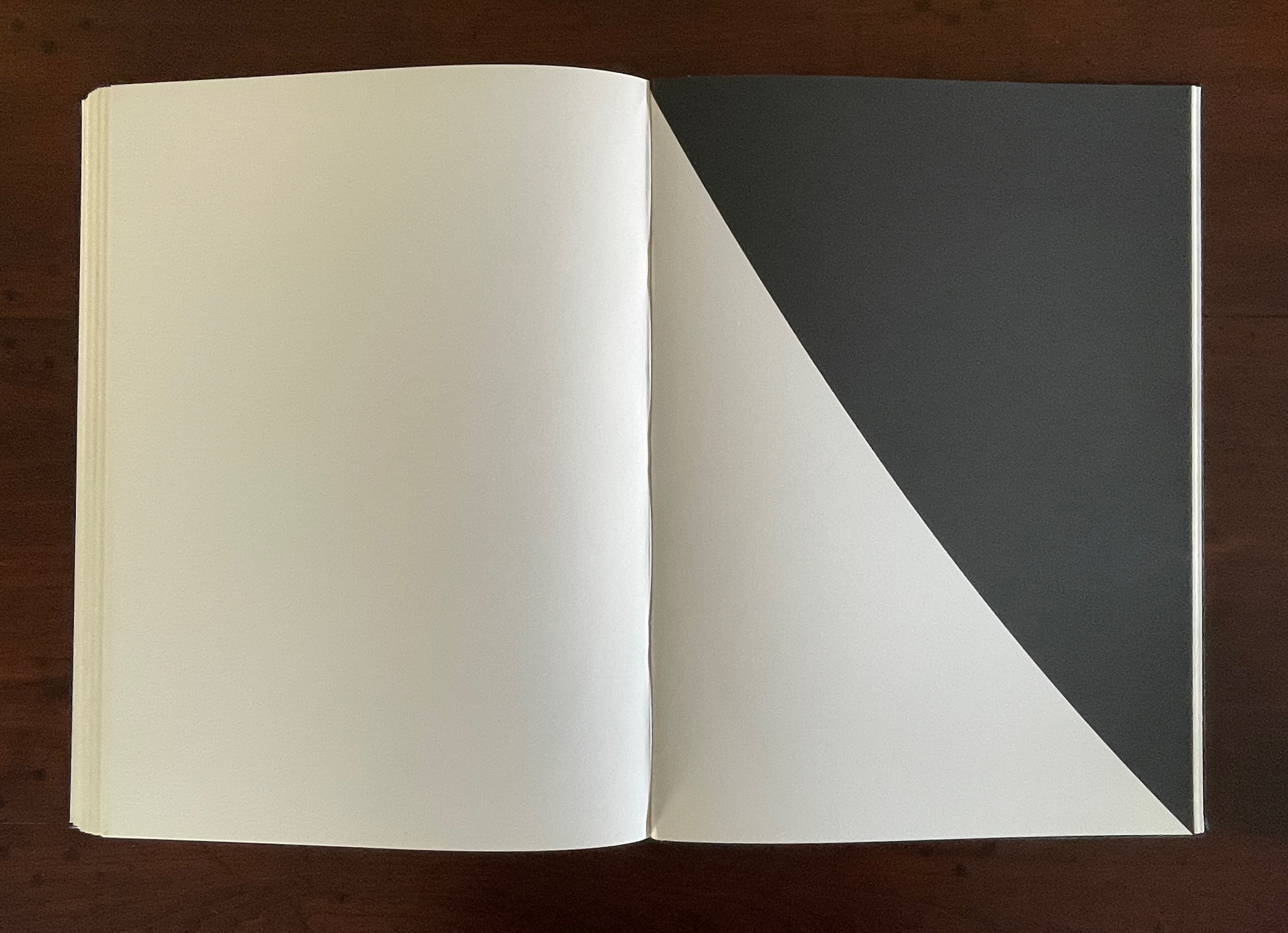 Des Kelly Ellsworth Kelly's homage to Mallarmé - an artist's book?