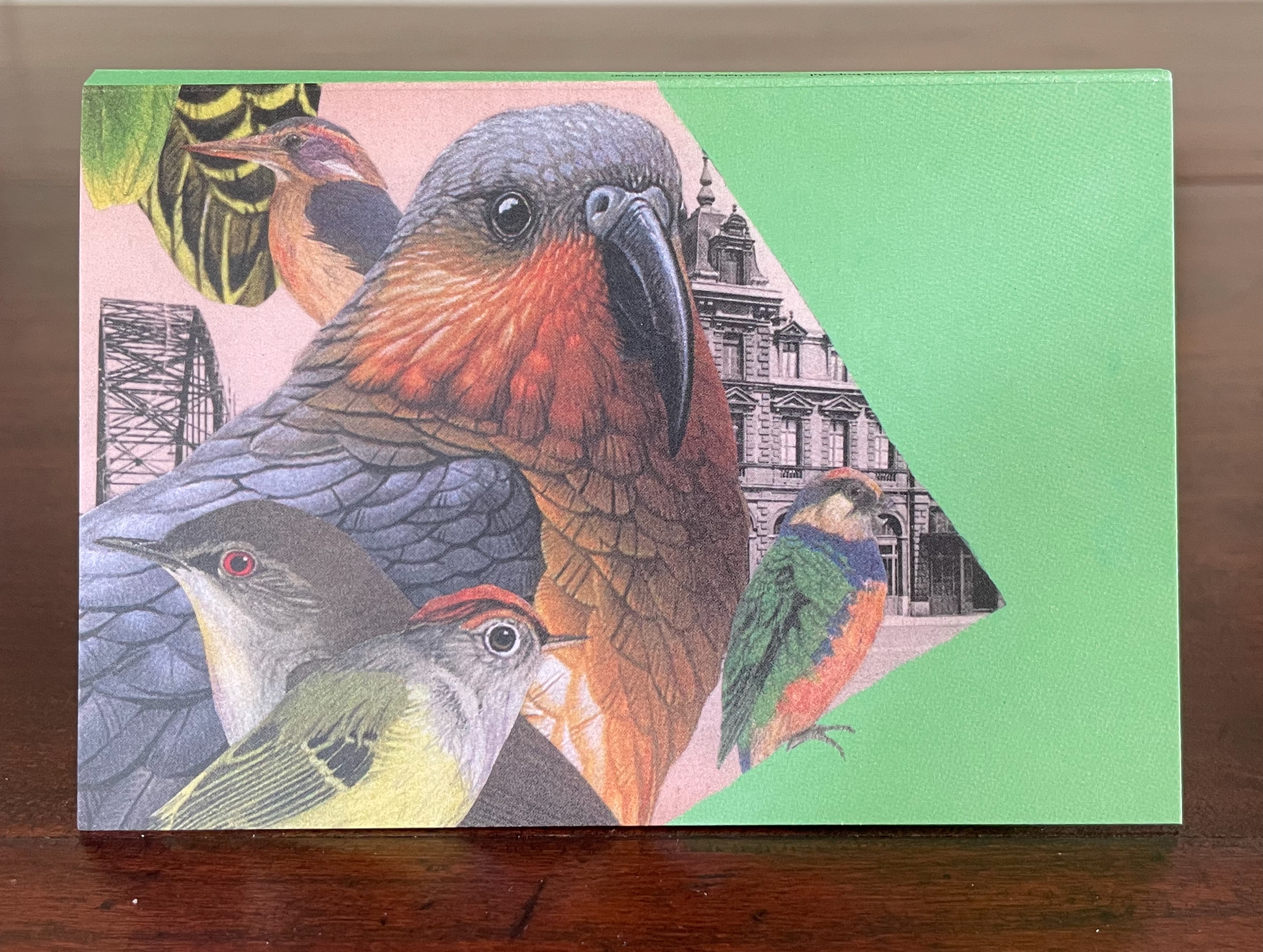 Illustration of several colorful birds including a large bird with orange and gray feathers, smaller birds with distinctive markings, and a backdrop of urban architecture, all set against a green triangle background.