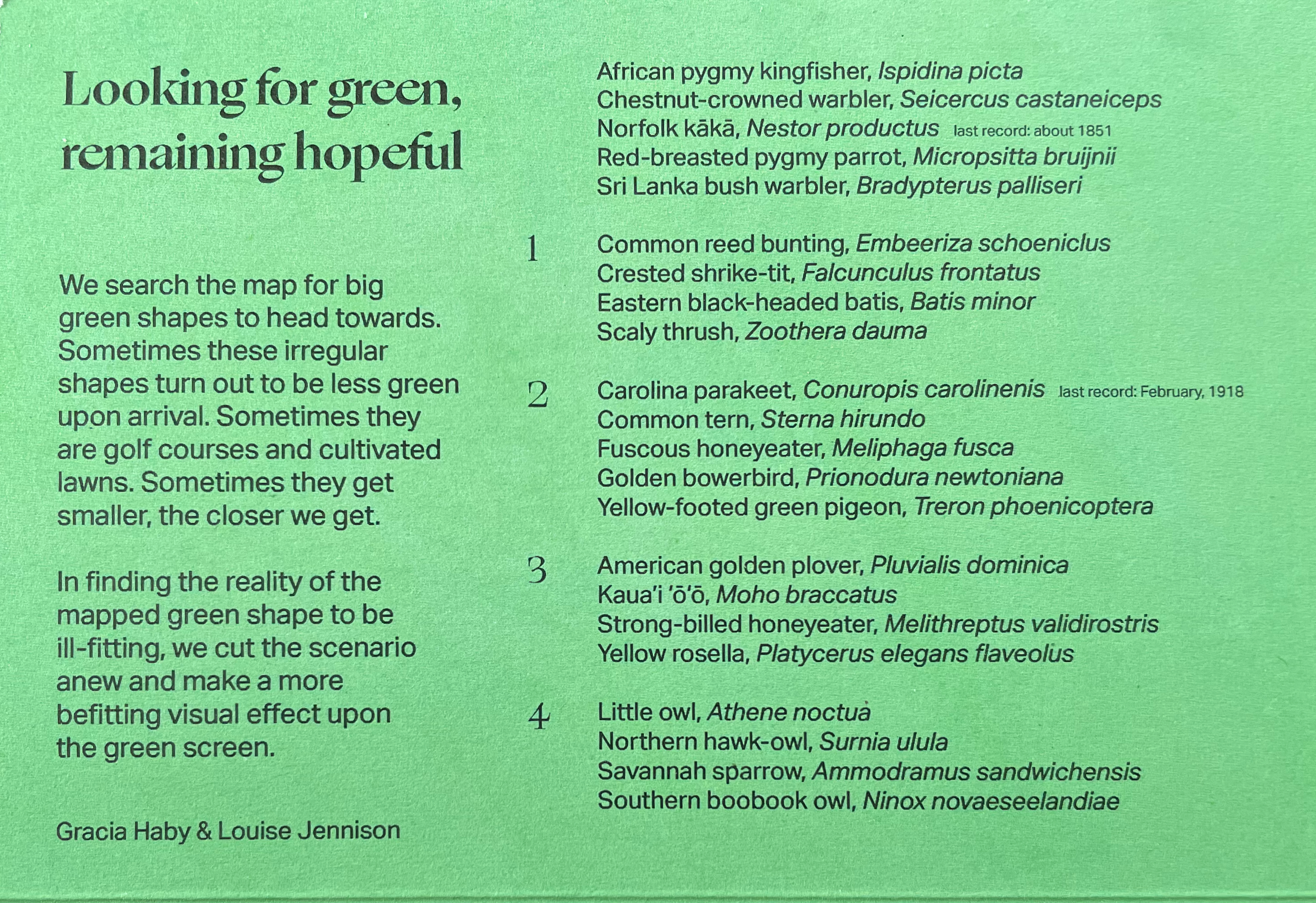 A green background with text discussing various bird species and their habitats, emphasizing the search for greener spaces.
