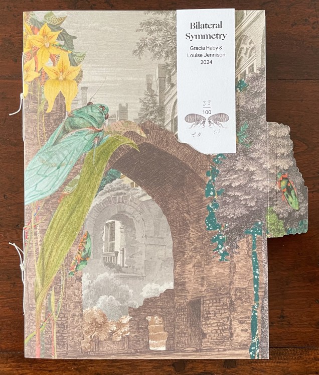 Cover illustration of a book titled 'Bilateral Symmetry' by Gracia Haby and Louise Jennison, featuring vibrant plant motifs, insects, and an archway with historic architecture in the background.