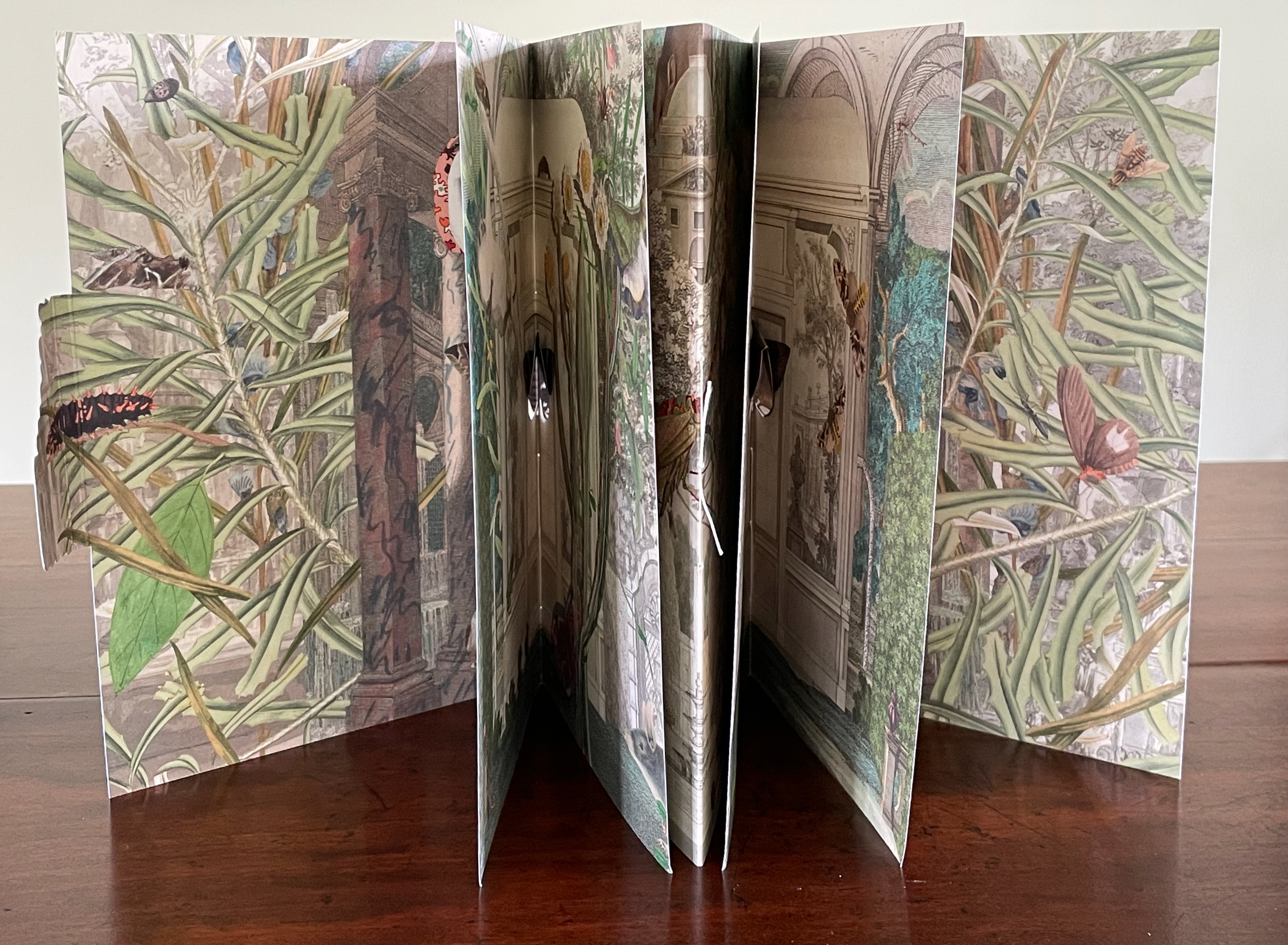 An open, artistic book showcasing vibrant illustrations of plants and butterflies with a layered, three-dimensional effect.