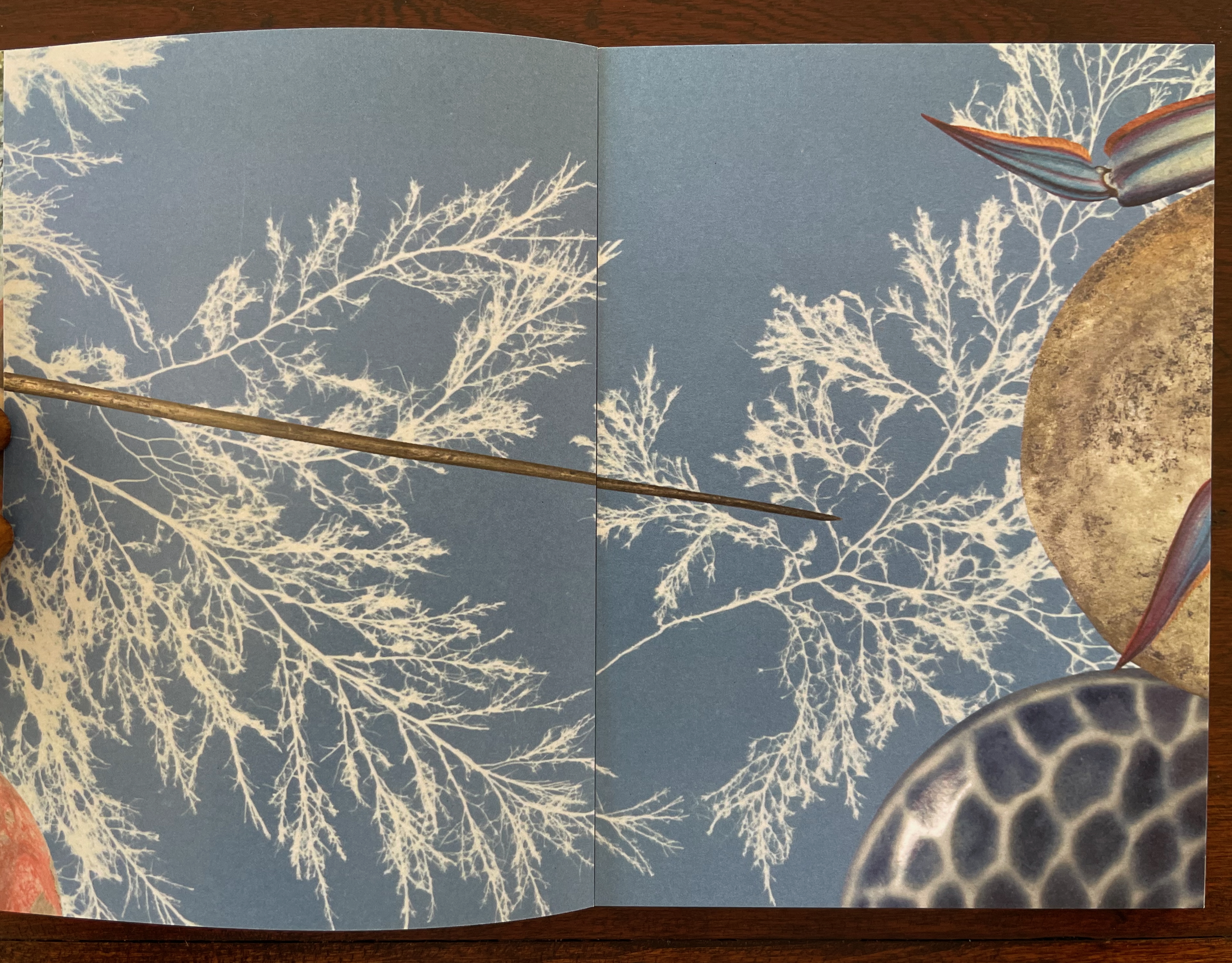 An open book page featuring a blue background with white branch-like patterns, a stick intersecting the center, and circular decorative elements resembling shells or stones on the right side.