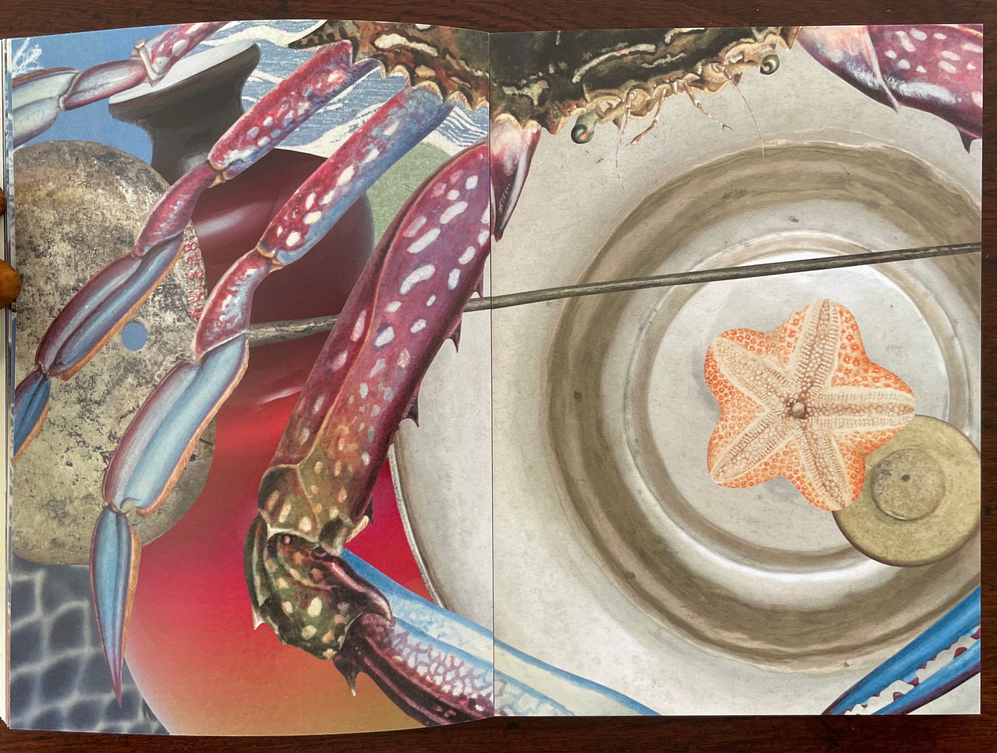 A vibrant illustration showcasing a close-up of a crab's claws and a starfish on a surface. The background features a mix of colors, including blues and reds, creating a striking visual contrast.