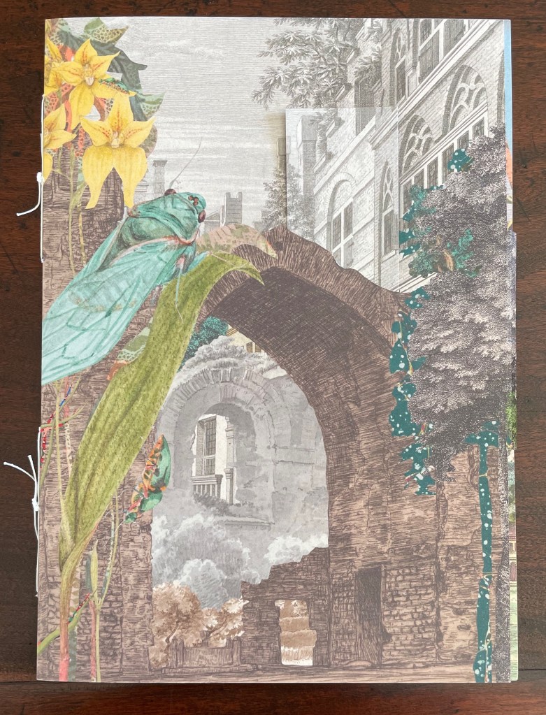 A collage-style illustration featuring a large green cicada in the foreground, surrounded by yellow flowers and lush greenery, with a background of an old stone archway leading to a faded architectural structure.