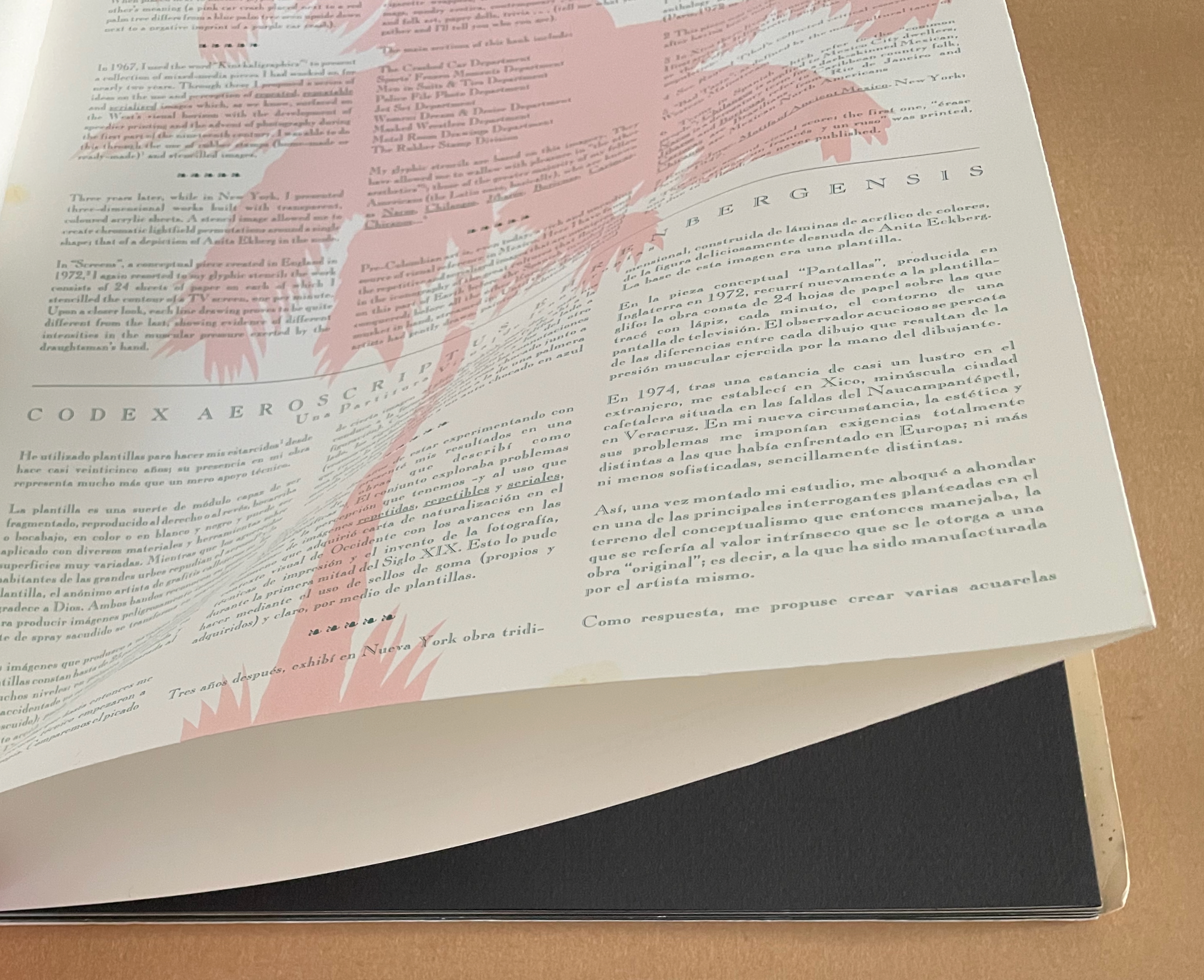 Open book page featuring text in Spanish, with a pink abstract illustration. The page discusses themes related to art, techniques, and the artist's intentions.