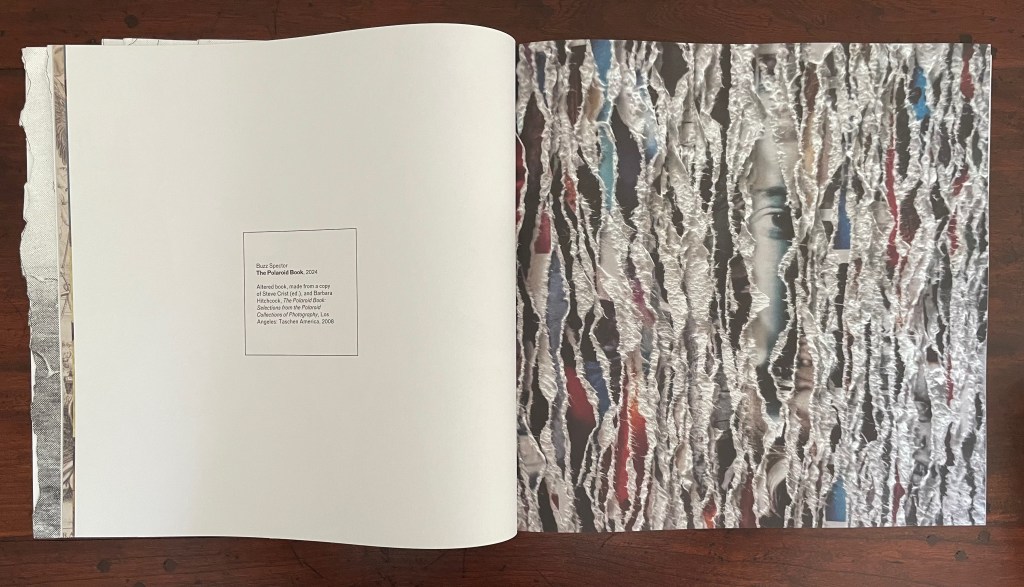 An open book displaying a textured page with a fragmented image partially obscured by torn paper strips, alongside a blank white page featuring printed information about the book.
