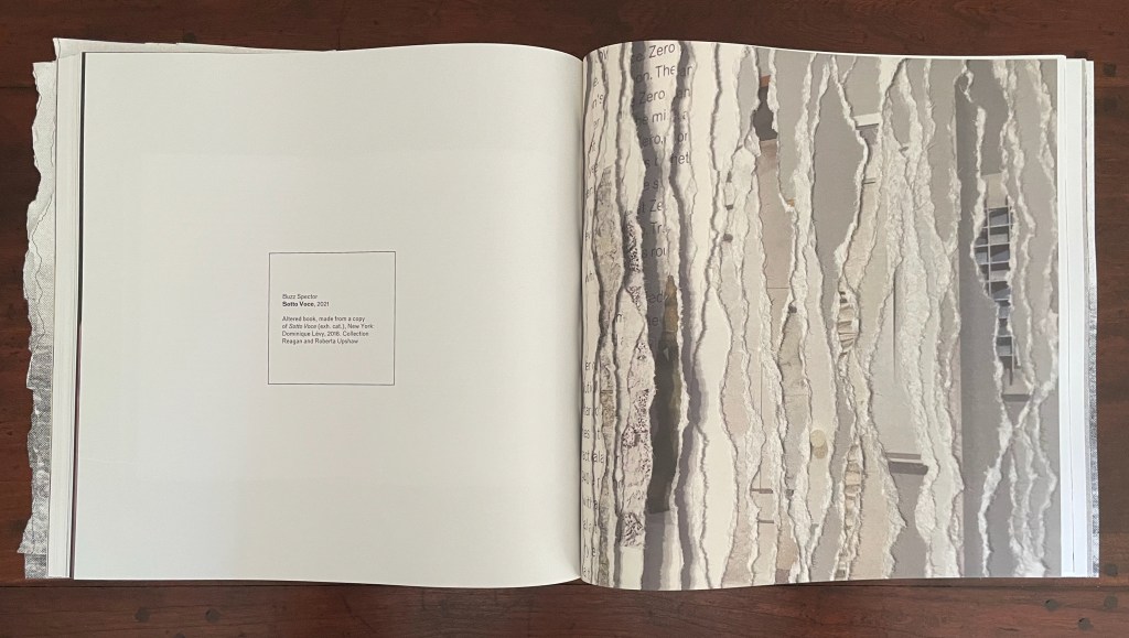 An open artist book featuring a detailed page with torn paper textures and accompanying text. The page displays a central box with publication details.