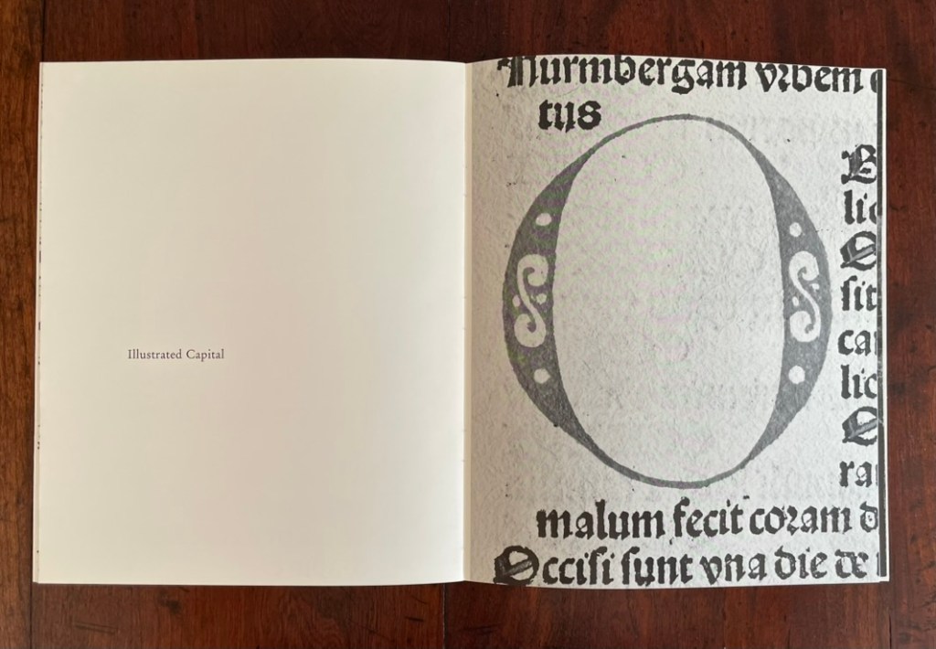 A book spread featuring a blank page on the left with the text 'Illustrated Capital' and an artistic illustration of an oval frame with ornate decorations on the right, accompanied by stylized text.