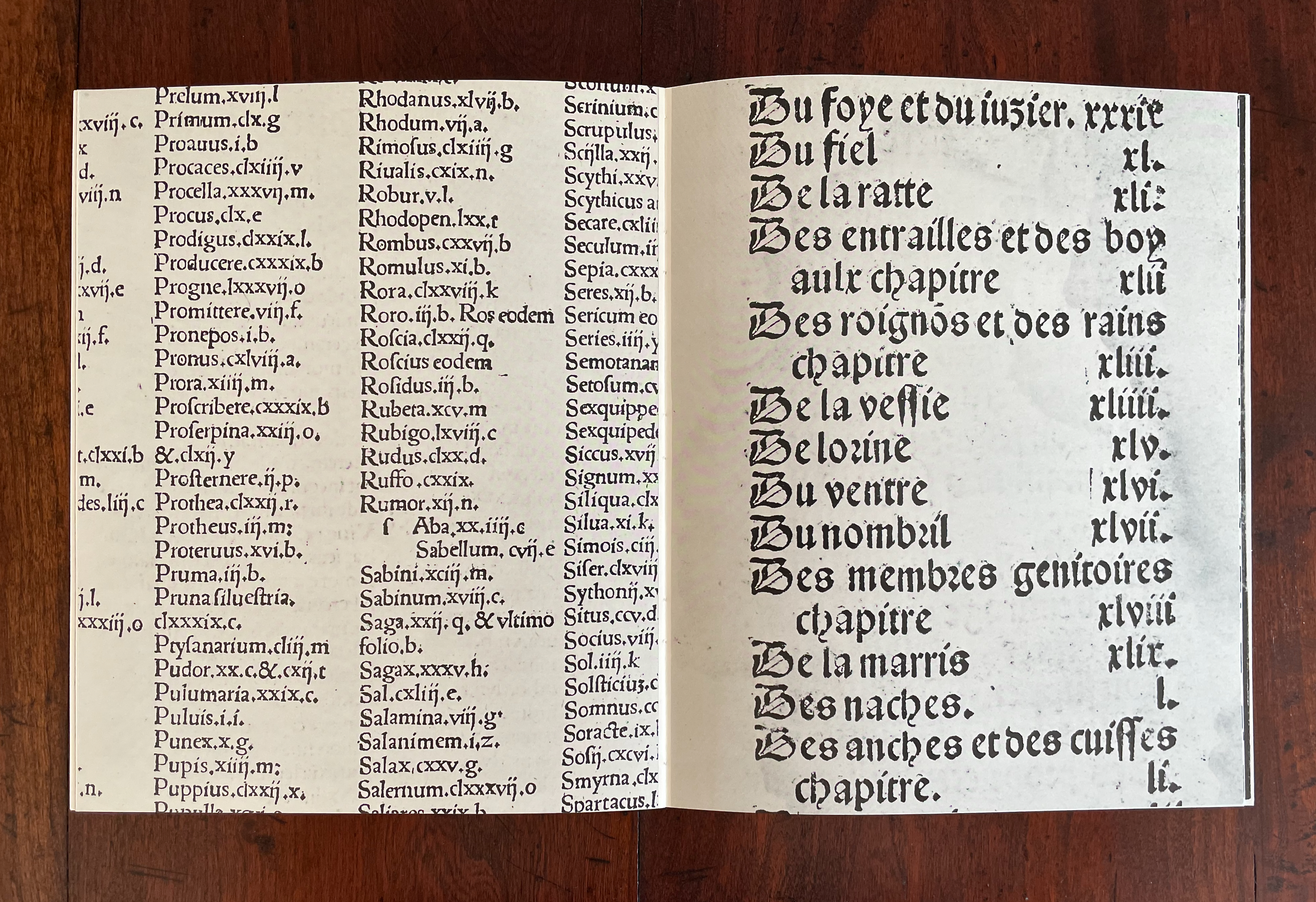 An open book page featuring text in a historic typeface, listing various terms and chapters related to anatomy or natural history.