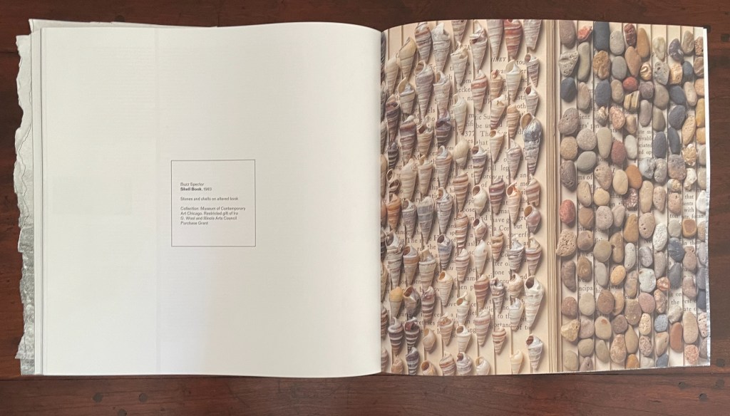 A spread from an art book featuring a collection of sea shells on the left and various smooth stones on the right, with text seeping in between, highlighting a unique artistic display.