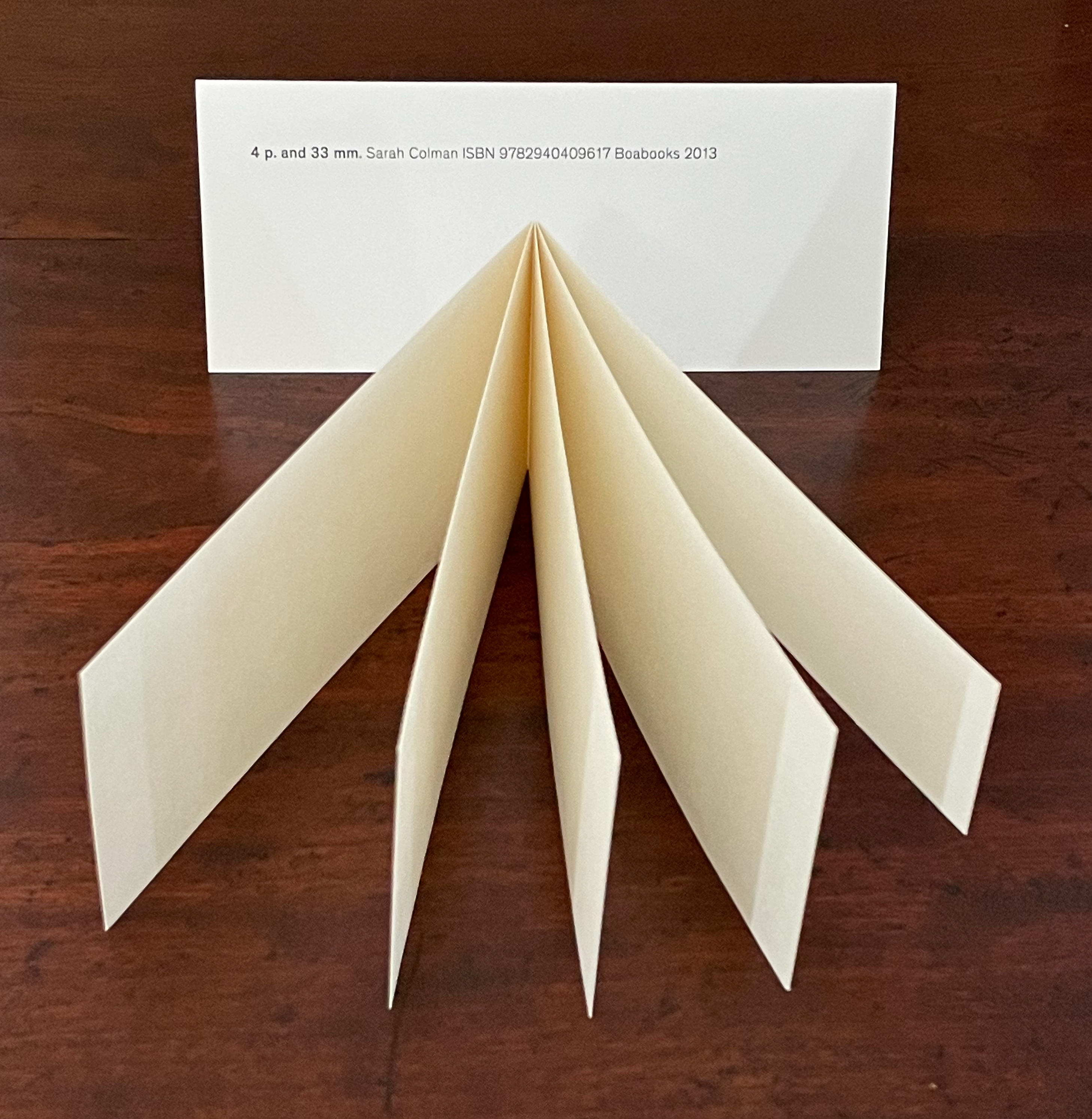 A closed art book with cream-colored pages fanned out, resting on a wooden surface, featuring a white cover that displays title, author, and ISBN information.