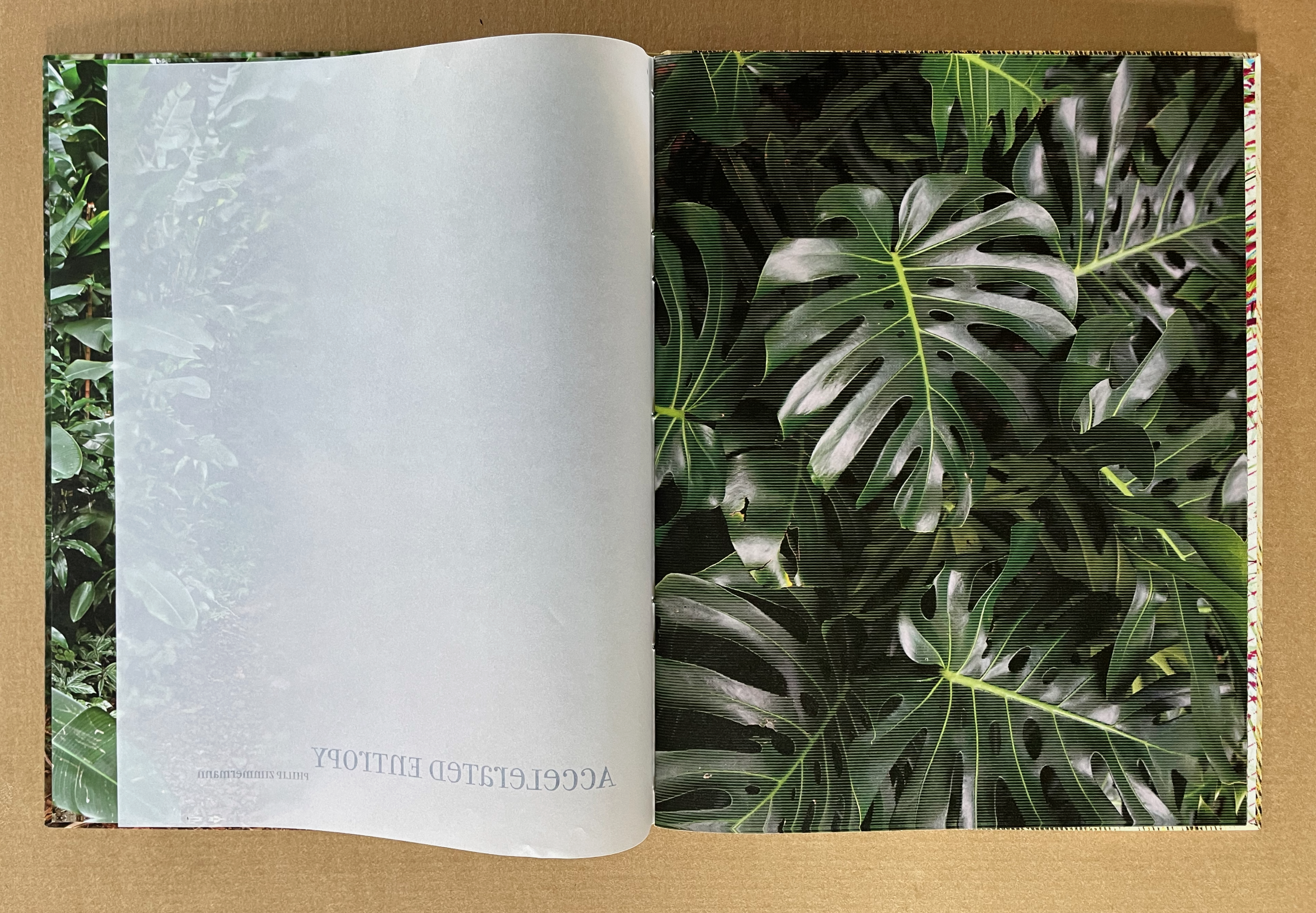 Open book displaying lush green monstera leaves on one page with a blank white page on the opposite side.