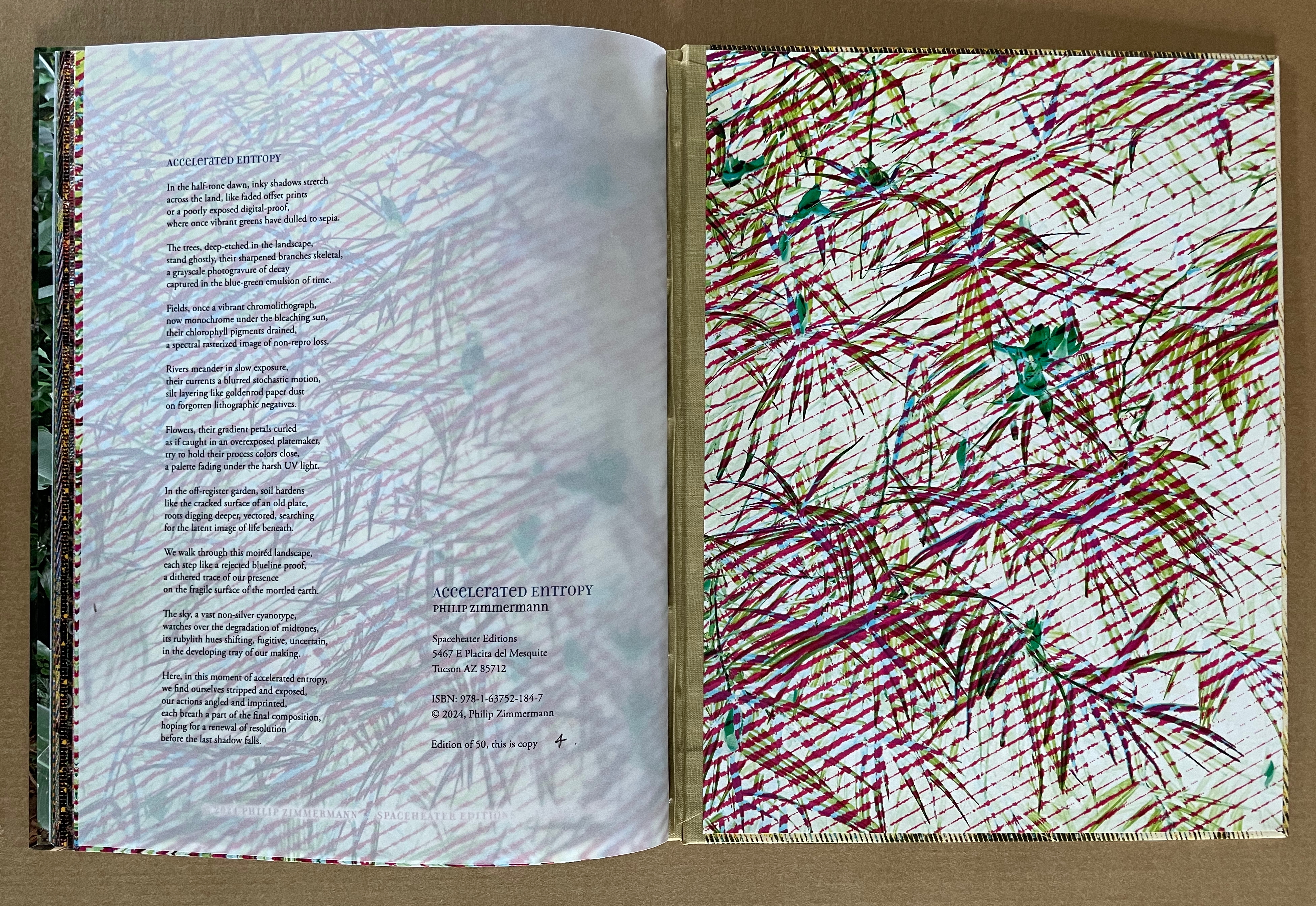 An open book featuring a page of text titled 'Accelerated Entropy' by Philip Zimmermann, alongside a vibrant, abstract illustration of intertwining colors and patterns resembling nature.