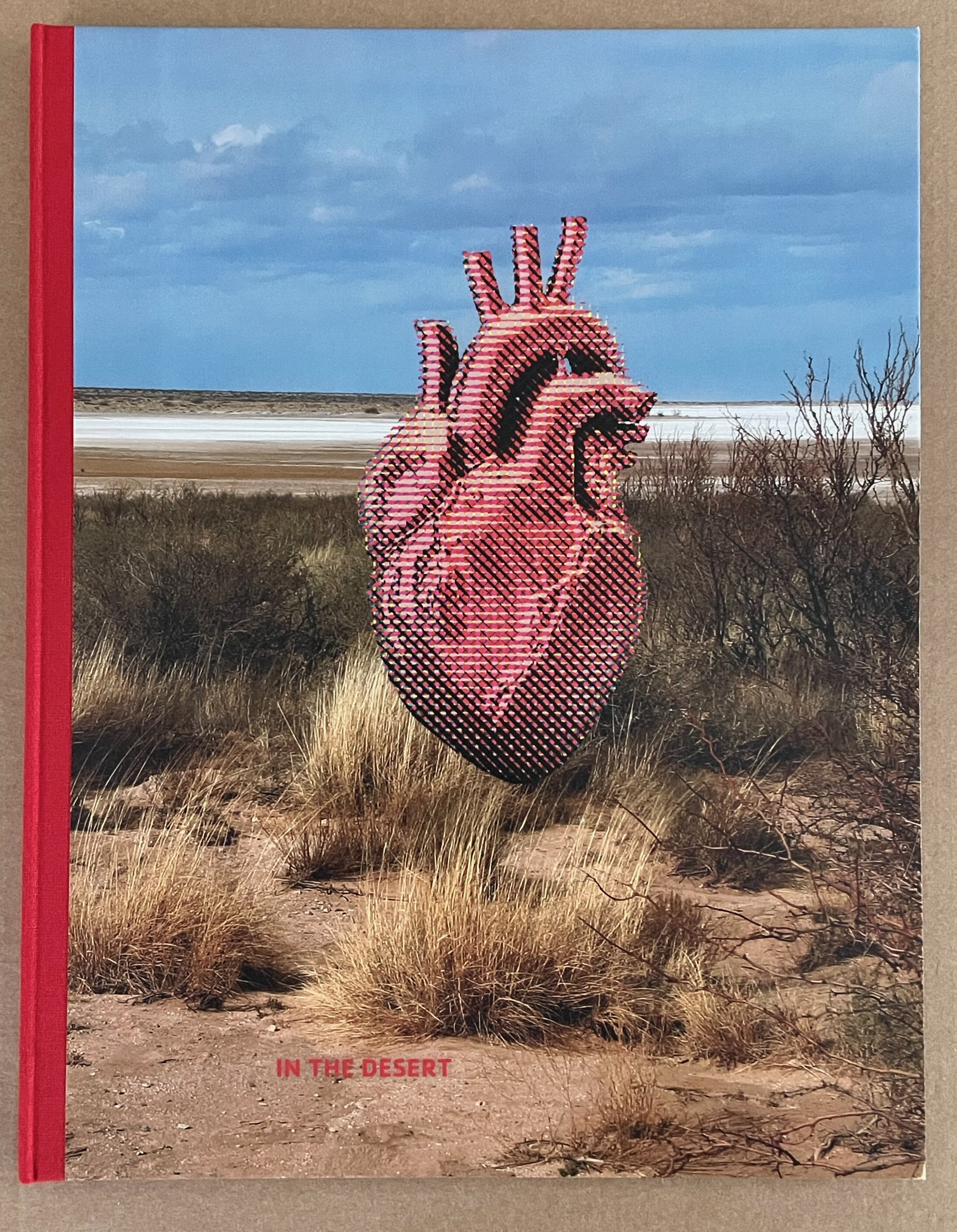 A book cover featuring a large, sculptural representation of a heart in a desert landscape, with grass and a salt flat visible in the background under a cloudy sky.