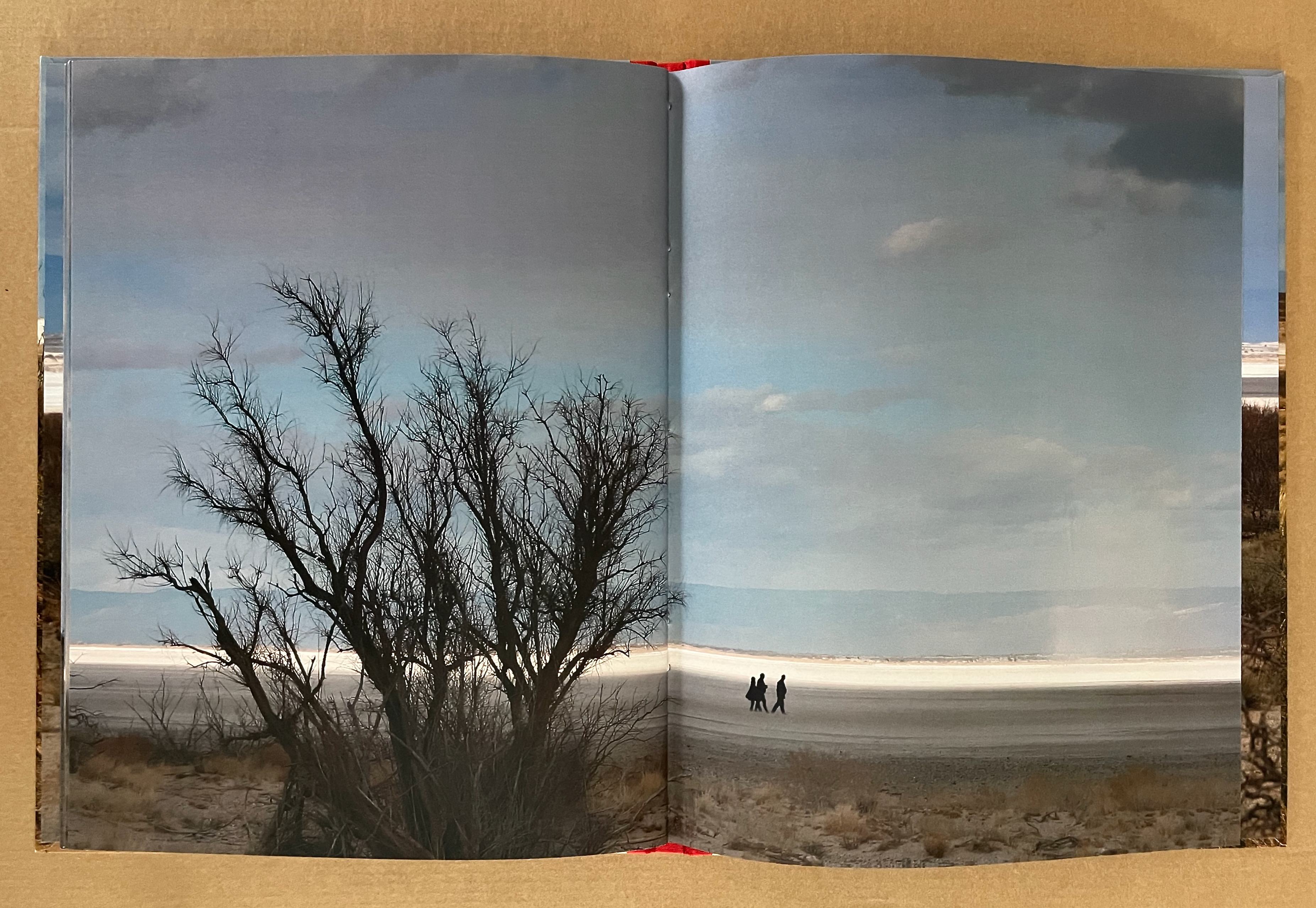 A panoramic view depicting a barren landscape with a large, leafless tree on the left and three figures walking on a sandy shore under a cloudy sky.