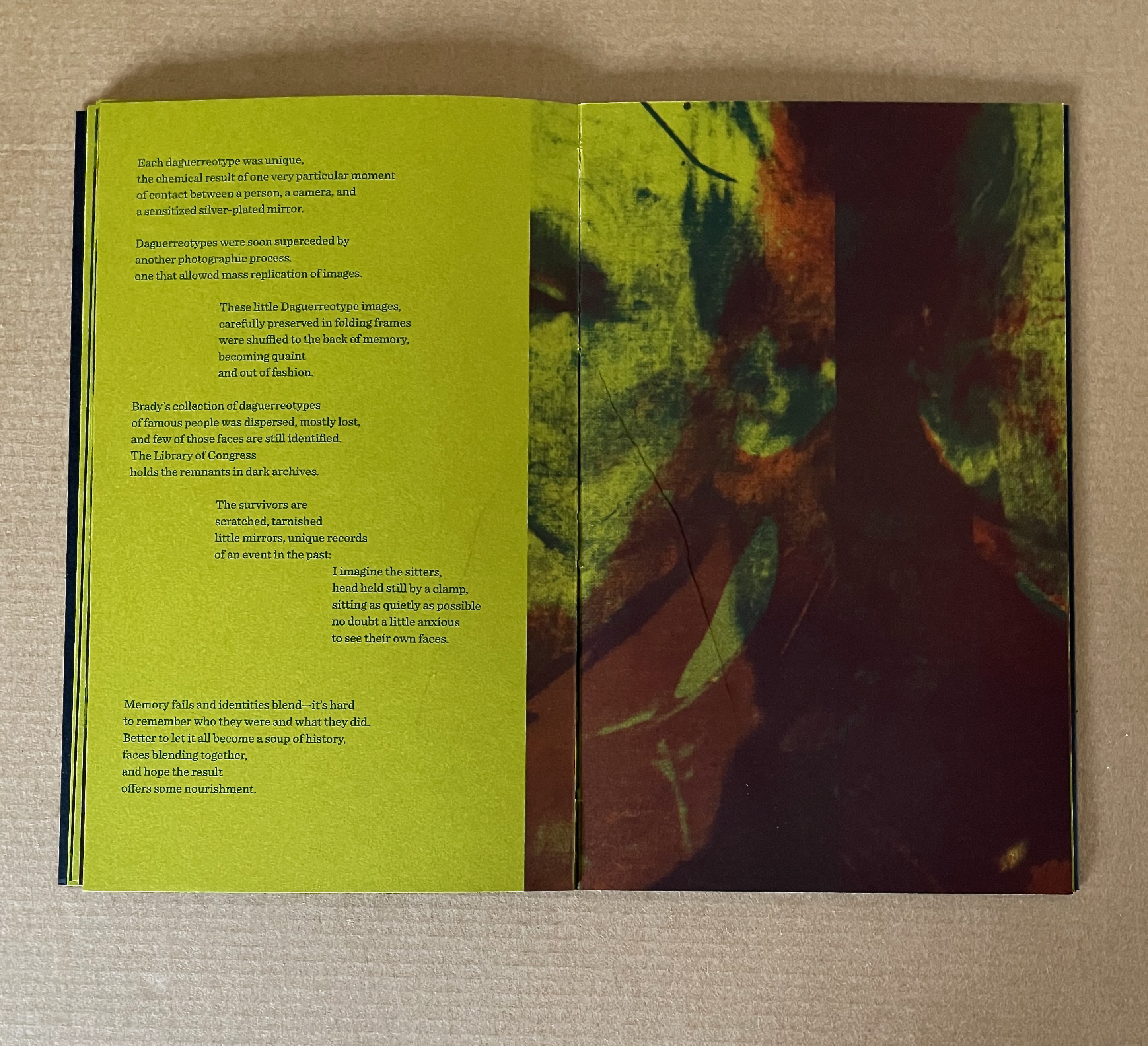 An open book displaying pages with text about daguerreotypes, featuring illustrative abstract imagery in shades of green and brown.