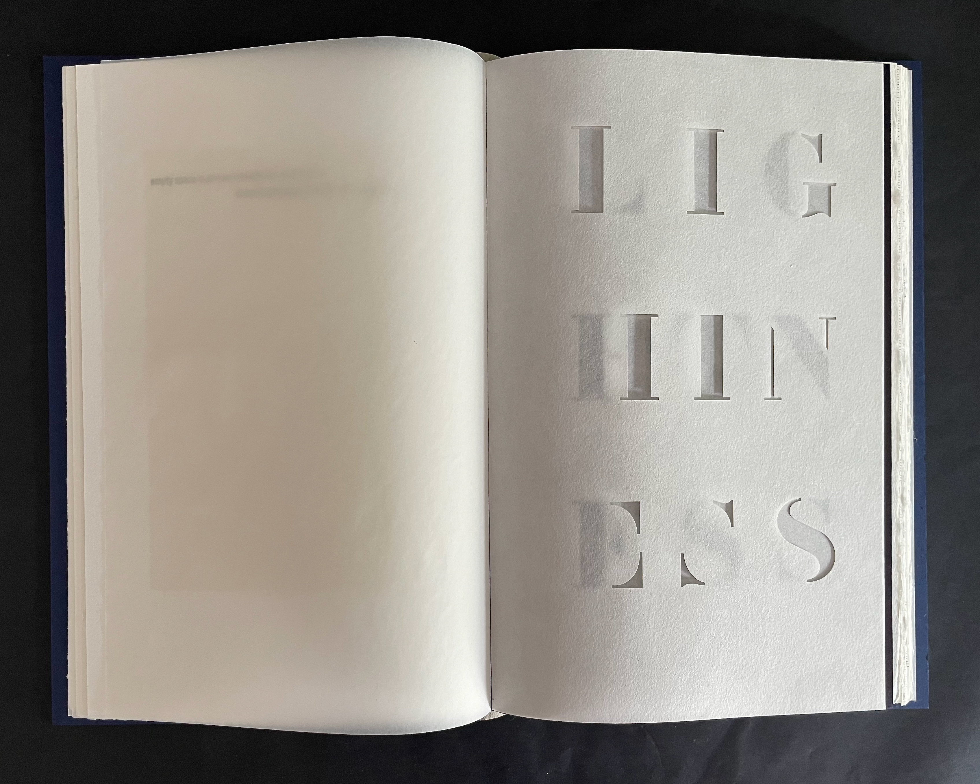An open book showcasing a page with the word 'LIGHTNESS' cut out in an artistic font against a blank background.