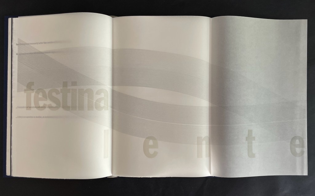 Open book spread featuring the words 'festina lente' in a prominent, stylized font against a minimalist background.