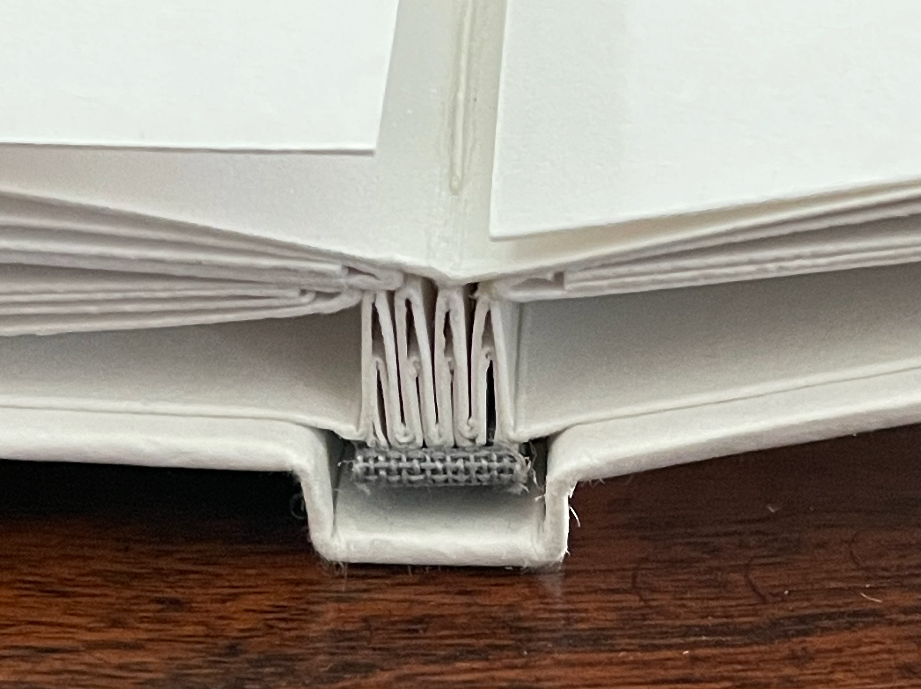 Close-up of the binding of a book showcasing stitched pages and spine detail.