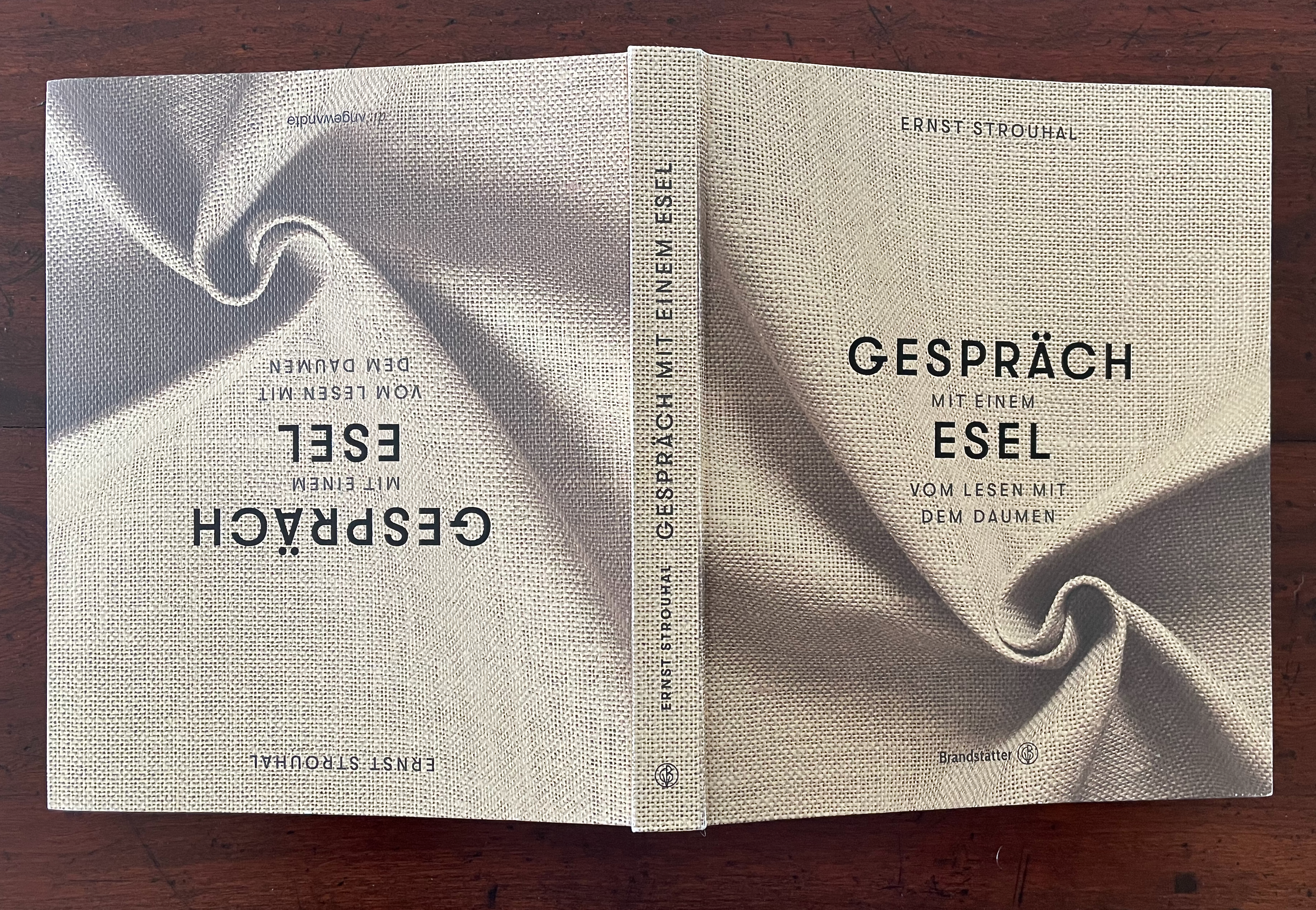Cover of the book 'Gespräch mit einem Esel' by Ernst Strouhal, featuring a textured beige background with black text.