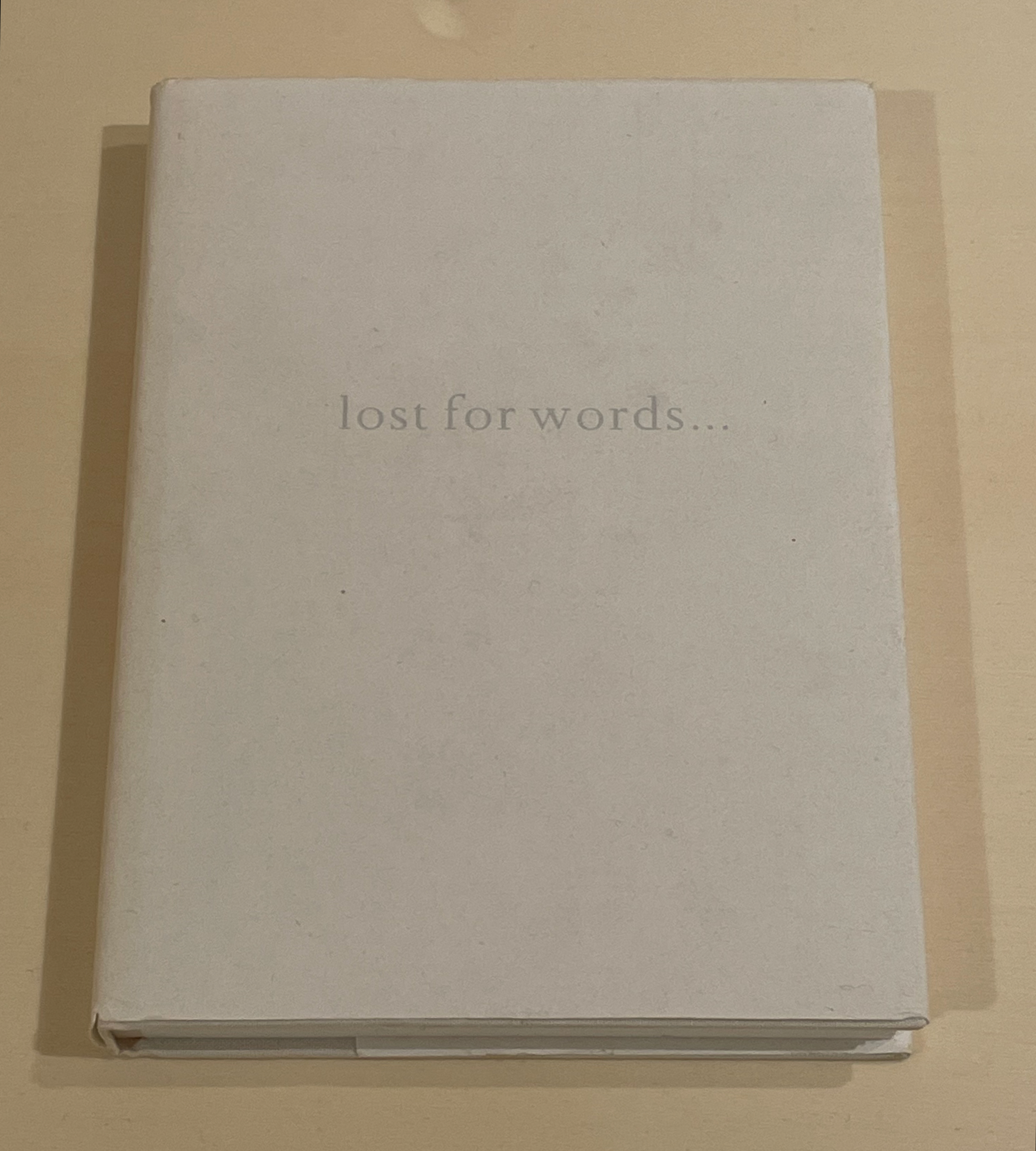A closed book with a plain cover featuring the title 'lost for words...' in gray text.