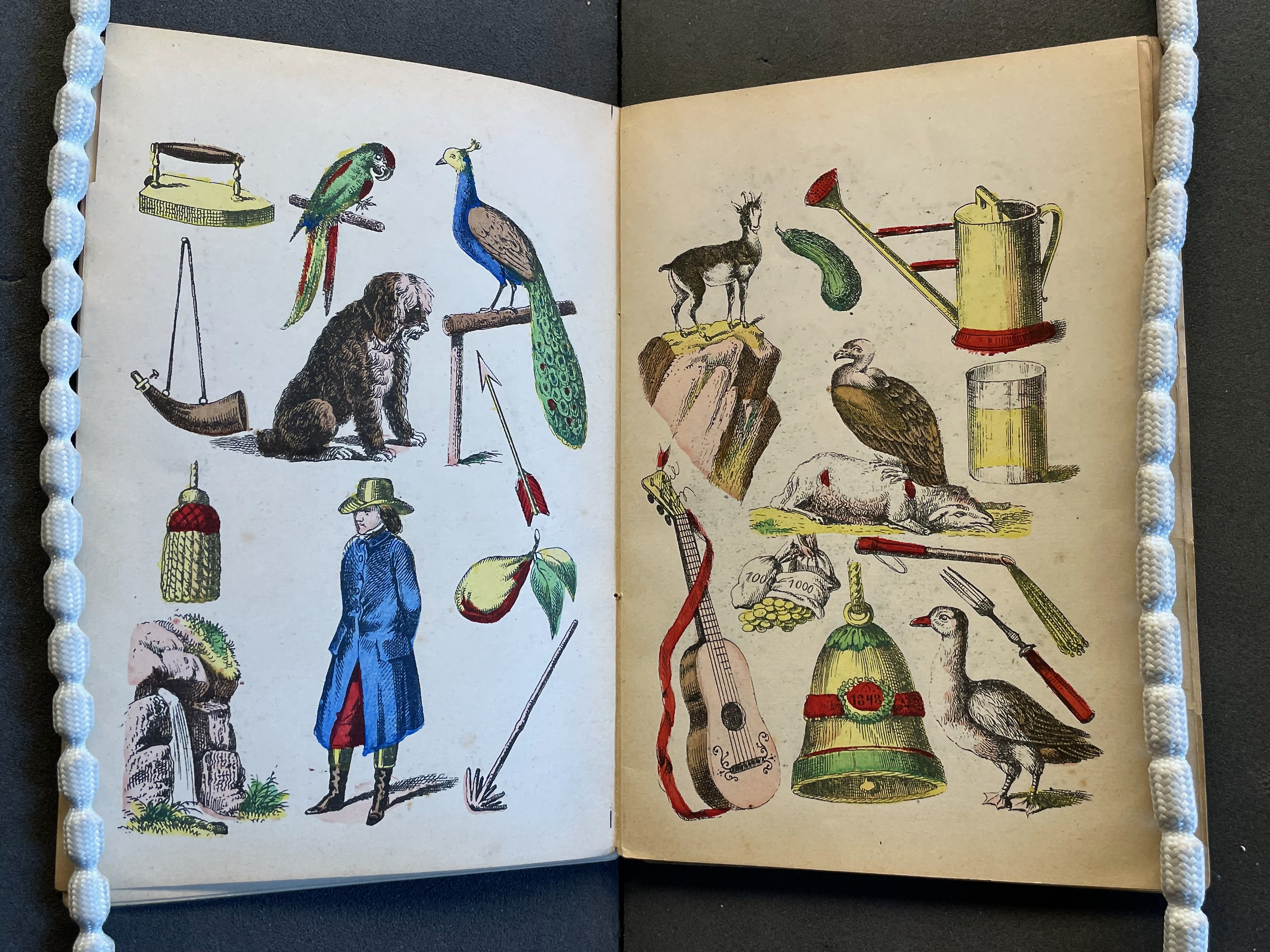 An illustration from a book featuring various animals, including a parrot, peacock, dog, goat, and duck, surrounded by items like a guitar, watering can, and farm tools.